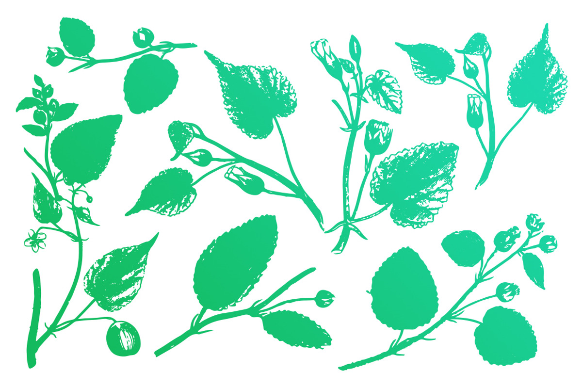 Vector Floral Element Pack, an Illustration by Theresa Barba