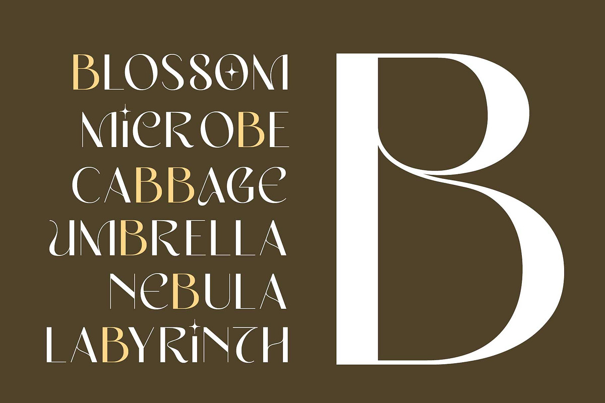 Elegant Sans - Miguela Verona, a Sans Serif Font by Novitype (Photo 4 of 12)