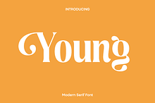 Young Modern Serif Font