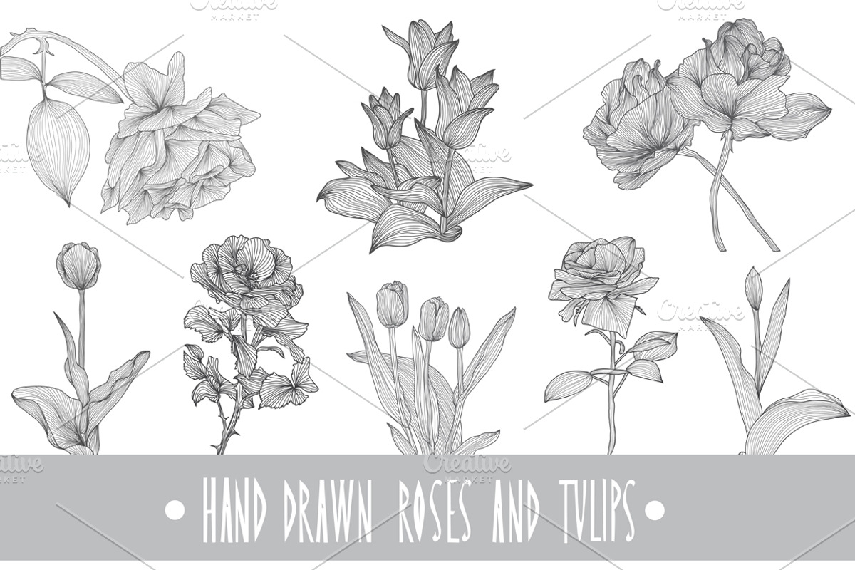 Roses and Tulips Set, an Illustration by Sunset&Sea Design (Photo 1 of 5)