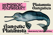 TAN - NEW YORK, a Blackletter Font by TanType (Thumbnail 2 of 15)