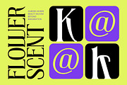 Creative Vision Victorian Display, a Serif Font by timelesstype.co (Thumbnail 5 of 10)