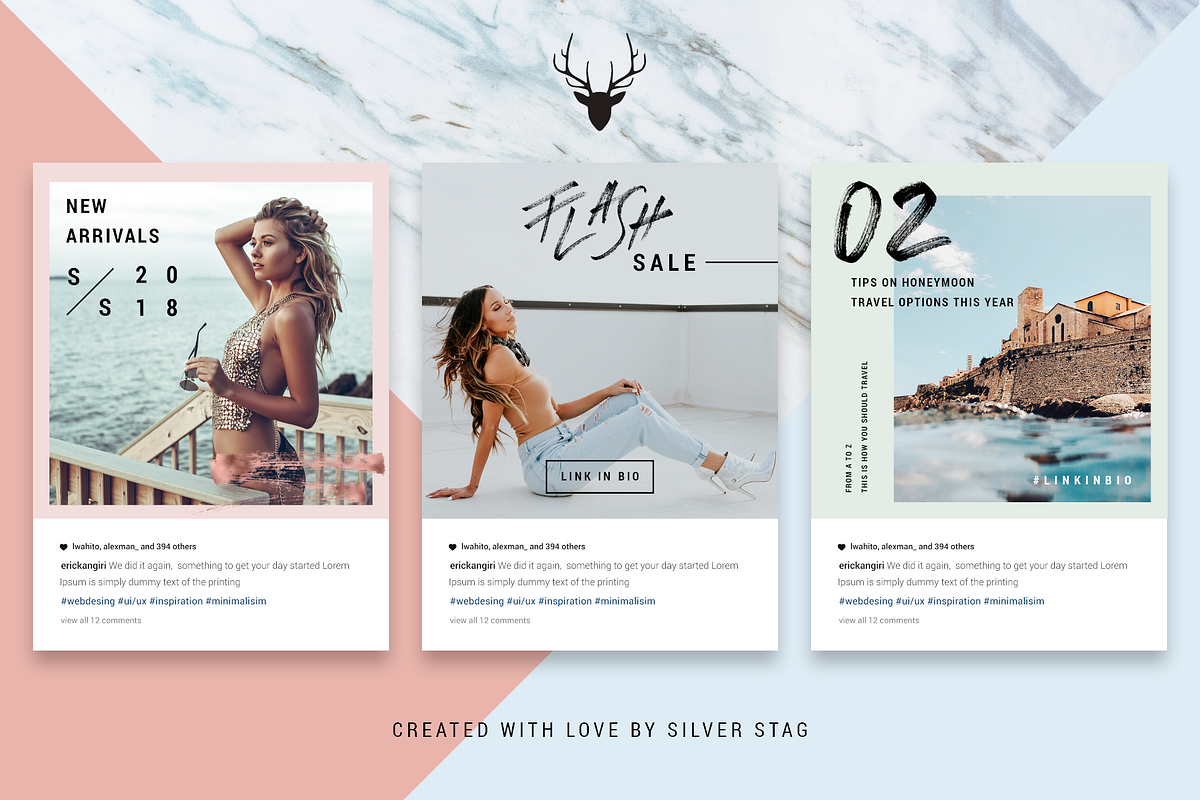 Rose Gold ANIMATED Instagram Posts, a Social Media Template by SilverStag Type Foundry (Photo 11 of 15)