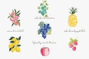 Fruit watercolor clipart set, a Decorative Illustration by Patishop Art (Thumbnail 4 of 7)