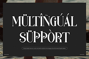 Miofarin | Display Modern Serif, a Serif Font by Denustudios (Thumbnail 13 of 15)