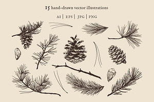 Pine Tree Elements Illustrations