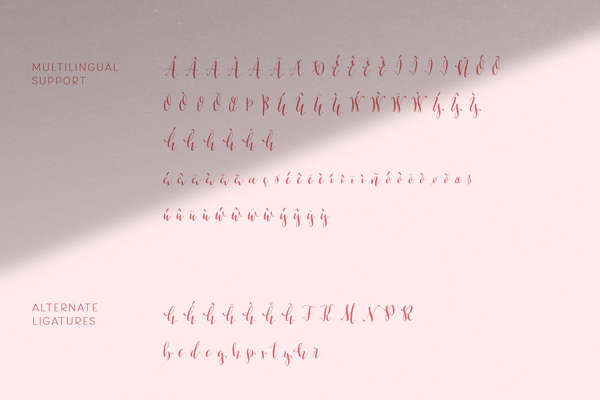 Brokkie | Modern Calligraphy Font, a Script Font by Sumbo Pinheiro (Photo 11 of 12)