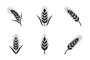 Rustic Wheat Silhouette Design, an Illustration by hafijul (Thumbnail 5 of 9)
