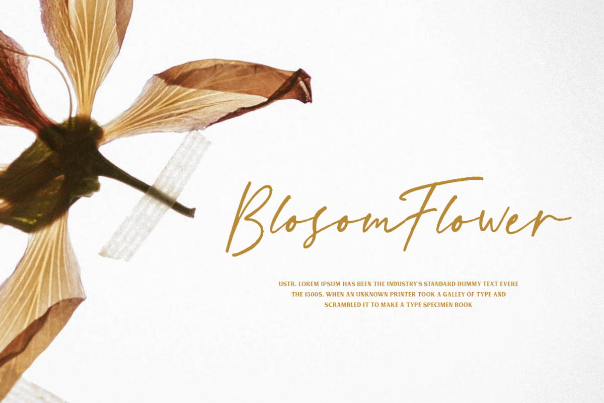 Taronis Signature Font preview 5