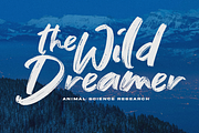 Greylight Brush Font, a Script Font by The Branded Quotes (Thumbnail 2 of 6)