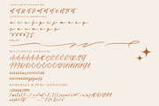 VIOLLEN Patricia Typeface Font Duo, a Serif Font by Storytype Studio (Thumbnail 13 of 14)