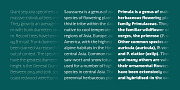 Hua, a Sans Serif Font by YXType (Thumbnail 7 of 10)