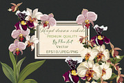 Hand drawn vector orchids, a Decorative Illustration by FleurArt (Thumbnail 1 of 11)