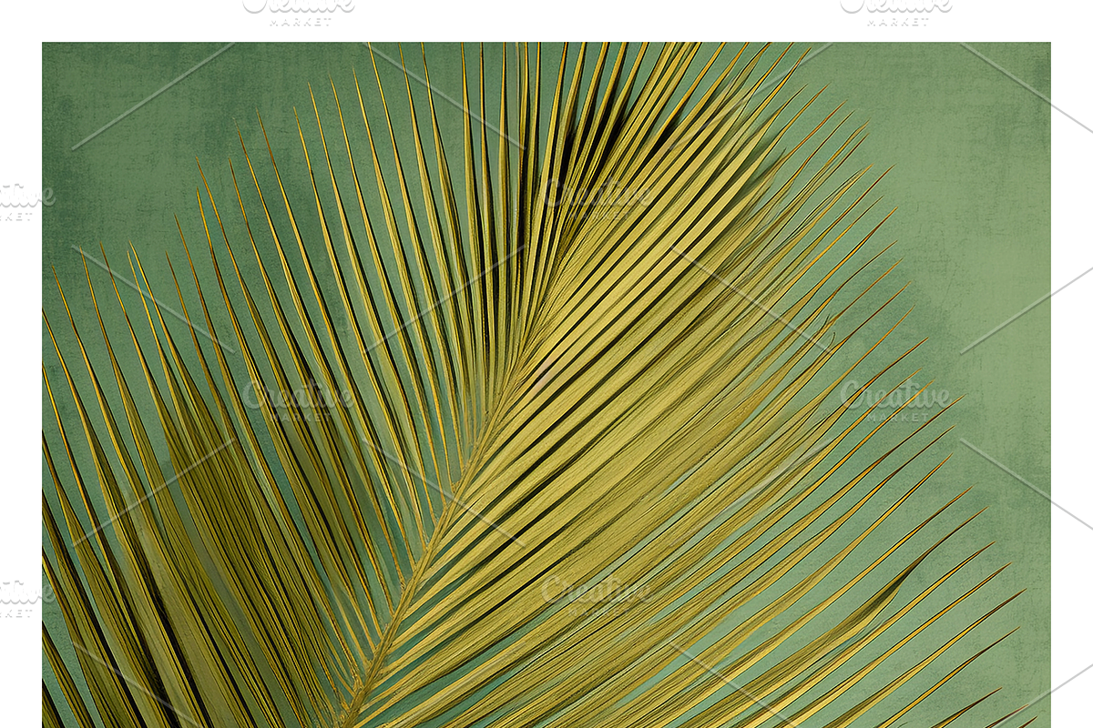 Bief Co · Botanical Leaf Backgrounds, a Texture Illustration by milatovar (Photo 7 of 21)