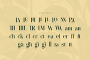 Anzelie – Elegant Stylish Serif, a Serif Font by Almeera Std (Thumbnail 7 of 10)