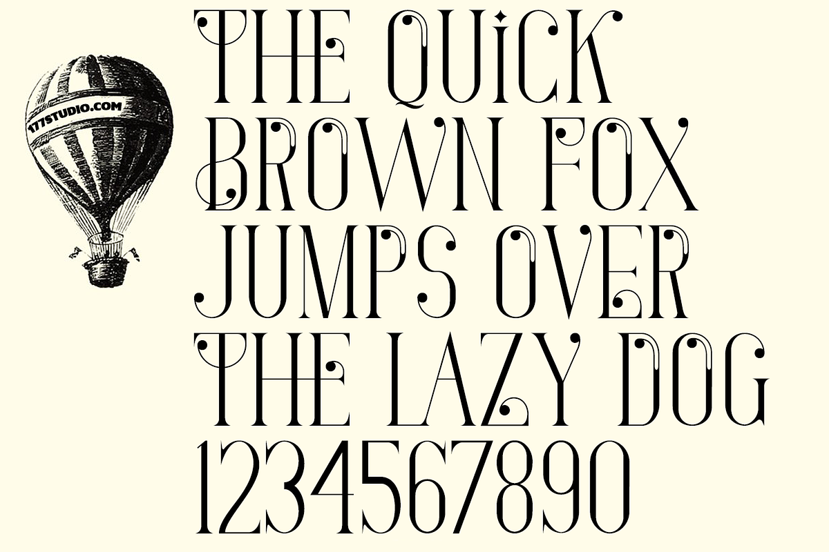 Largely Elegant Font, a Serif Font by 177Studio (Photo 6 of 6)