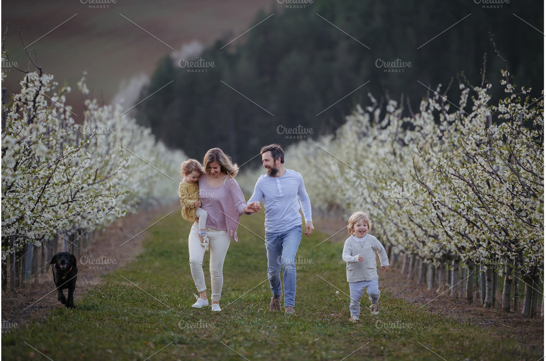 Family with two small children on, a Person Photo by HalfPoint