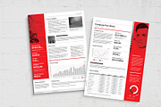Fact Sheet Template, a Flyer Template by BrandPacks (Thumbnail 3 of 5)