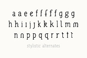 Jovial Serif Pro - Handwritten Fonts, a Serif Font by Tom Chalky (Thumbnail 7 of 7)