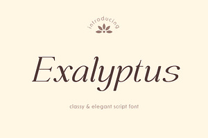 Exalyptus - Elegant Script Font