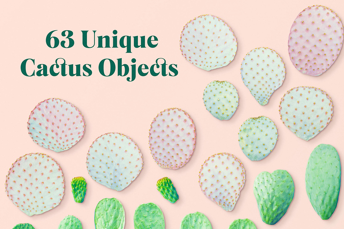Prickly Pear Cactus & Succulents, an Object Graphic by Fox & Bear (Photo 2 of 6)