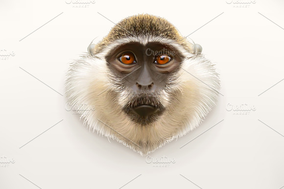 Monkey Head Animal Zoo Vector Icon