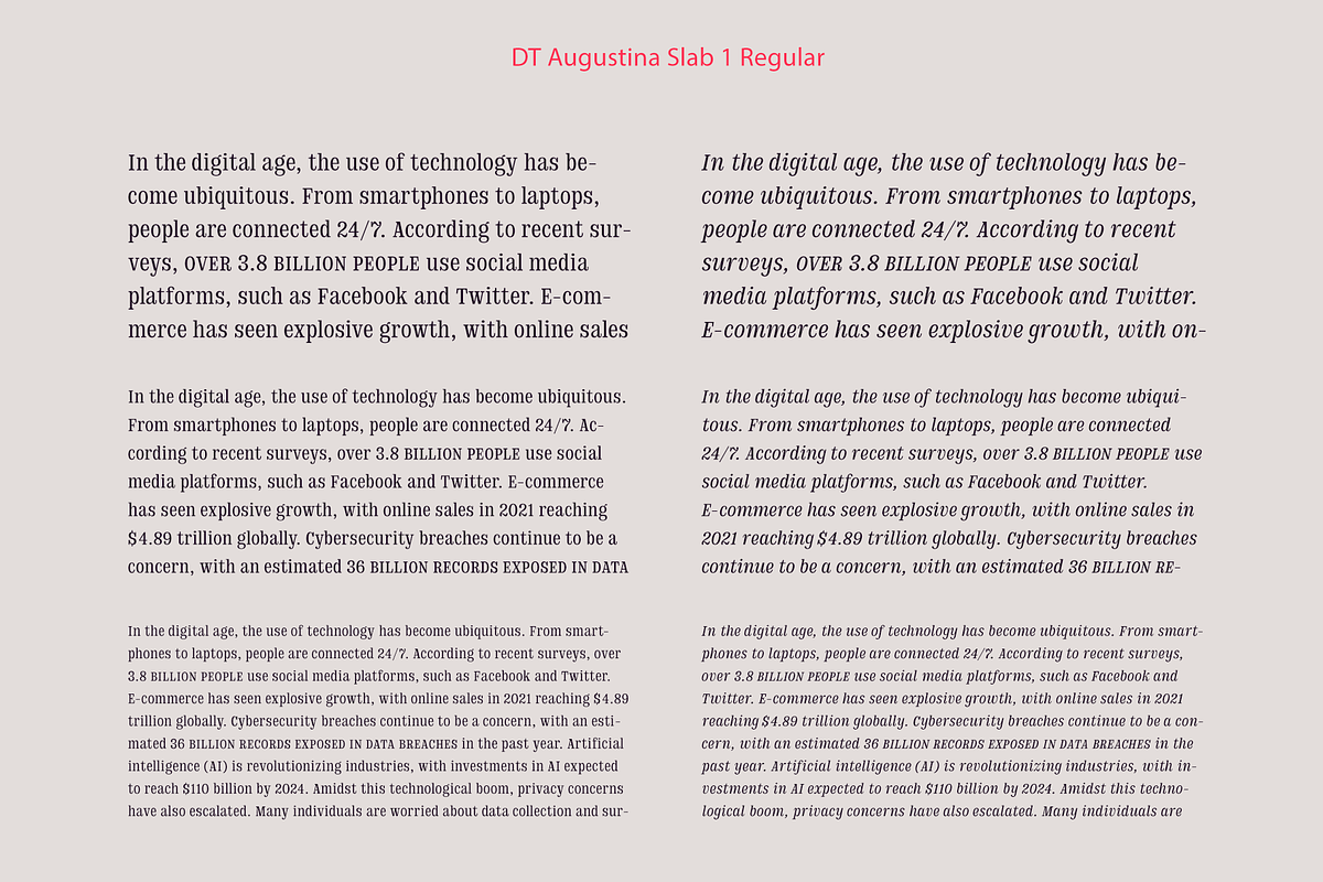 DT Augustina Slab 1 Subfamily, a Slab Serif Font by Deveze Type Foundry (Photo 8 of 31)
