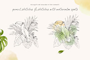 TROPICAL PARADISE birds and plants, a Decorative Illustration by Yuliia Lashevska (Thumbnail 4 of 14)
