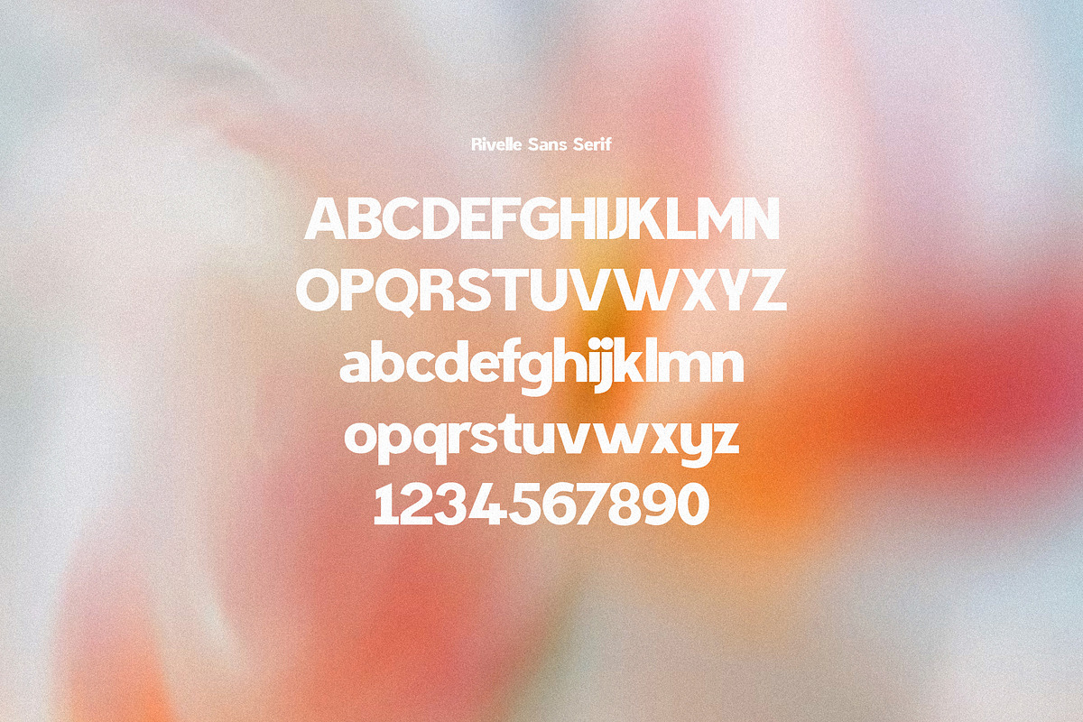Rivelle - Modern Sans Serif, a Sans Serif Font by Schrifted Type (Photo 7 of 8)