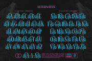 Alpha Spike Typeface, a Serif Font by alit design (Thumbnail 8 of 17)
