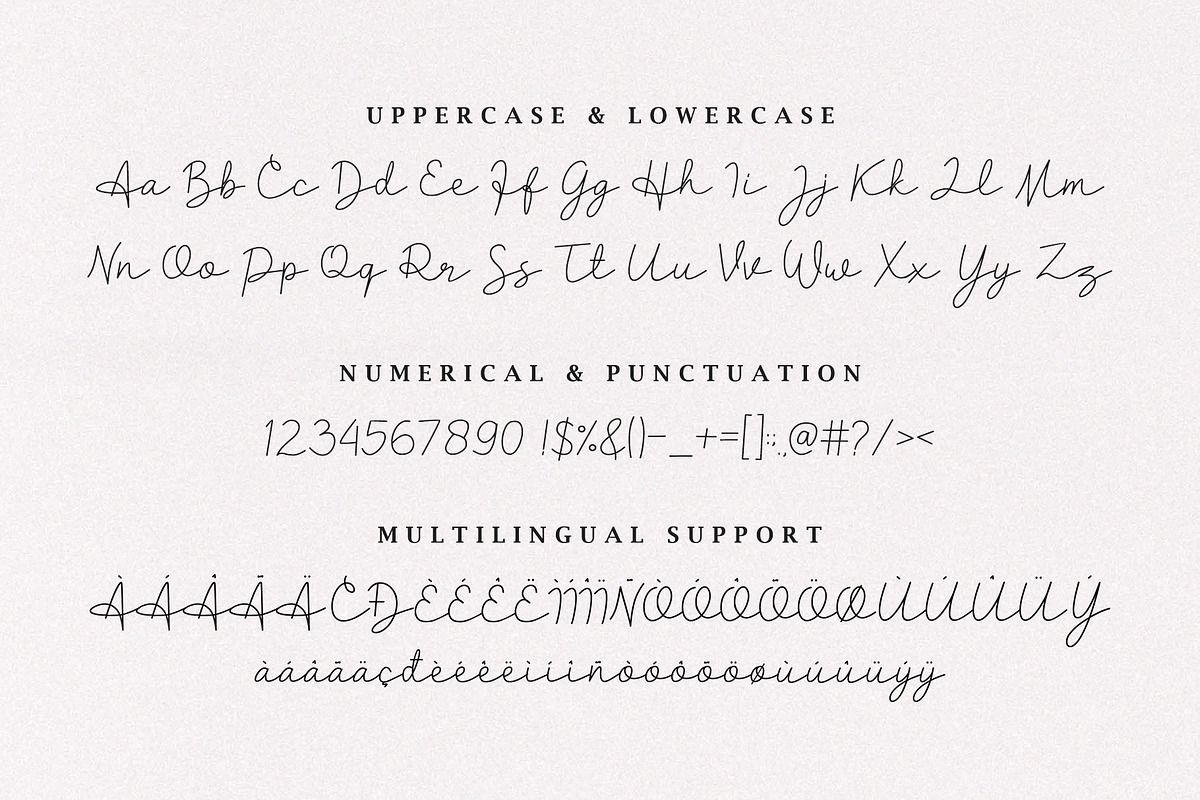 Clarisa Modern Script, a Handwritten Font by Heinzel Std (Photo 6 of 7)