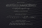 Autograph. Casual signature font., a Script Font by ClipArtRoom (Thumbnail 10 of 10)