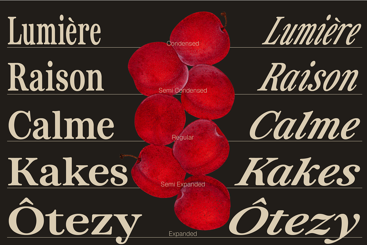 ZT Otez Retro Serif - 90 fonts, a Serif Font by zelow type (Photo 10 of 15)