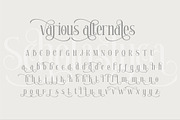 Scholastyca | Serif Typeface, a Serif Font by Almeera Std (Thumbnail 7 of 12)