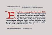 Riga Blackletter, a Blackletter Font by kaer_shop (Thumbnail 7 of 13)