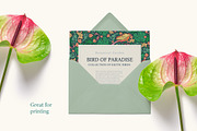 Bird-of-Paradise patterns, a Pattern Graphic by Piñata (Thumbnail 8 of 13)