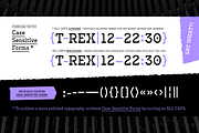 Antypica Family, a Slab Serif Font by Anfound Type (Thumbnail 7 of 12)