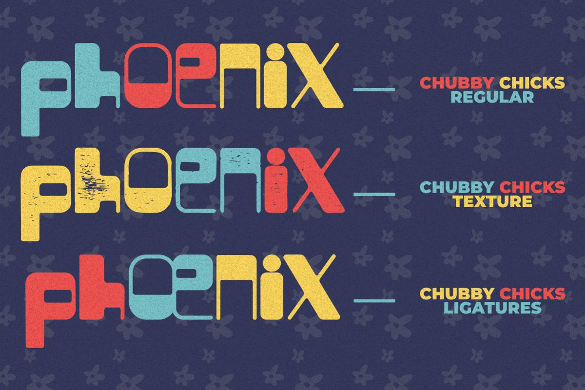 Chubby Chicks - Funky Display Font, a Font by PutraCetol Studio (Photo 4 of 12)