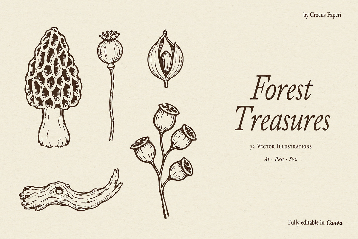 FOREST TREASURES illustrations, a Seasonal Illustration by Crocus Paperi (Photo 1 of 8)