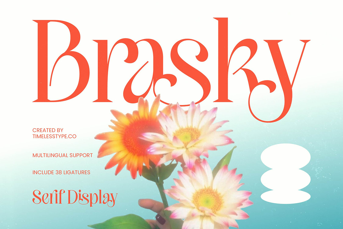 Brasky Modern Serif Display, a Serif Font by timelesstype.co (Photo 1 of 10)
