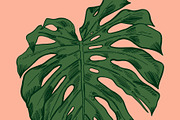 MONSTERA LEAVES, a Decorative Illustration by Tanya Akhmett (Thumbnail 6 of 8)