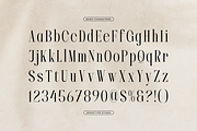 Lequano | New Display Serif, a Serif Font by gracetype_studio (Thumbnail 10 of 12)