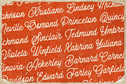Salveation Font Collection, a Slab Serif Font by Runsell Studio (Thumbnail 5 of 11)