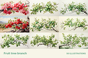 Fruit tree branch. Collection, a Food Illustration by Handmadefont (Thumbnail 6 of 12)