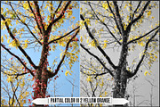 OM System & Olympus Art Filters, a Plug-in Add-On by Raztrend (Thumbnail 24 of 30)
