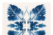 Cybo Collection · Cyanotype Botanics, a Texture Illustration by milatovar (Thumbnail 11 of 19)