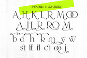 Paxxx | Lux serif, a Serif Font by Drawwwn (Thumbnail 3 of 12)