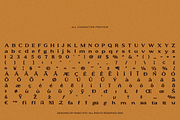 Zenthara Stylish Display Serif Font, a Serif Font by Rasio Studio (Thumbnail 2 of 11)
