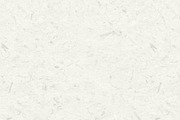 Whitetone Seamless Paper Backgrounds, a Texture Graphic by Section Type (Thumbnail 9 of 13)