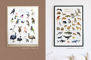 Australia Flora Fauna Clipart, an Animal Illustration by AnitaPol (Thumbnail 22 of 27)
